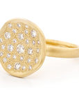 Diamond Stardust Ring - 18ky + Diamond